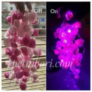 Rose Fairy Led Golden Colour Light Pink & Deap pink Flower